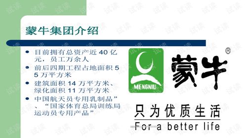 蒙牛廣告策劃案商業(yè)計(jì)劃書——精準(zhǔn)營銷，品牌升級(jí)